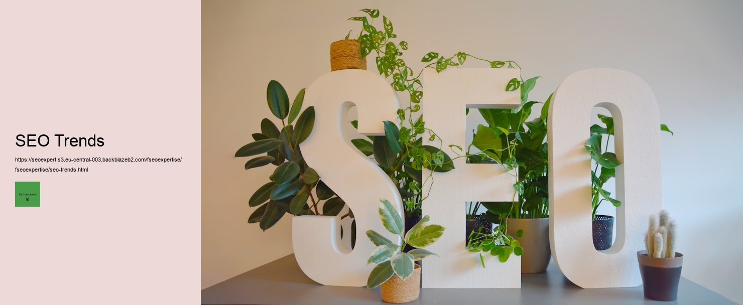 How to Negotiate Rates and Contracts with a Freelance SEO Expert