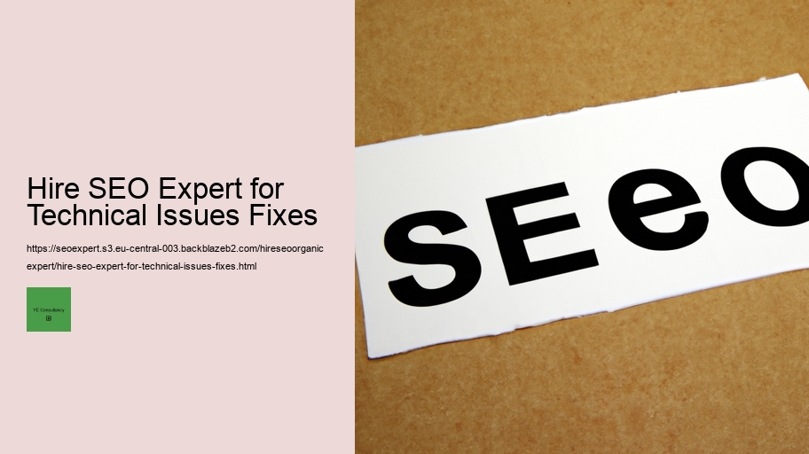 Hire SEO Expert for Technical Issues Fixes