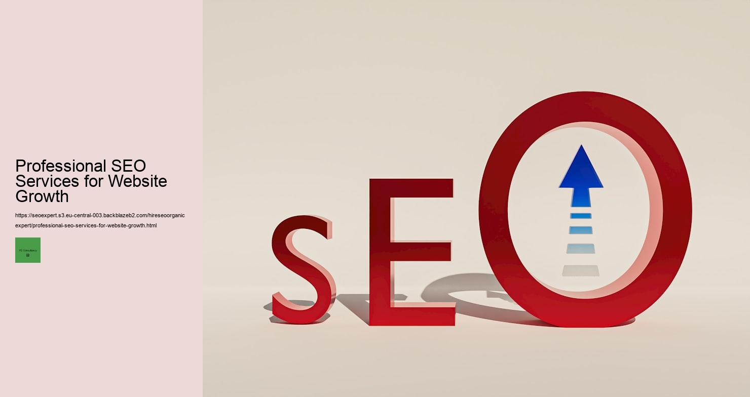 Professional SEO Services for Website Growth 