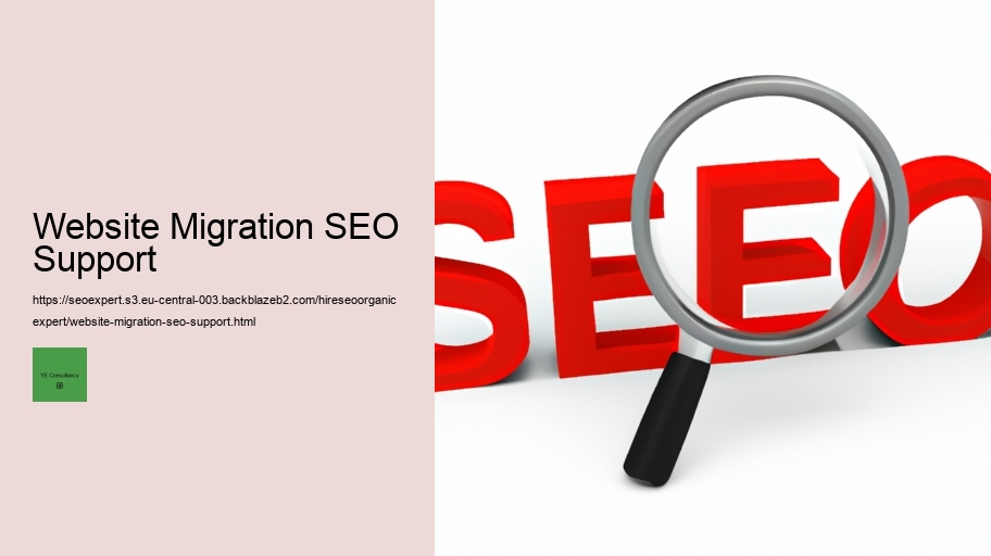 Website Migration SEO Support